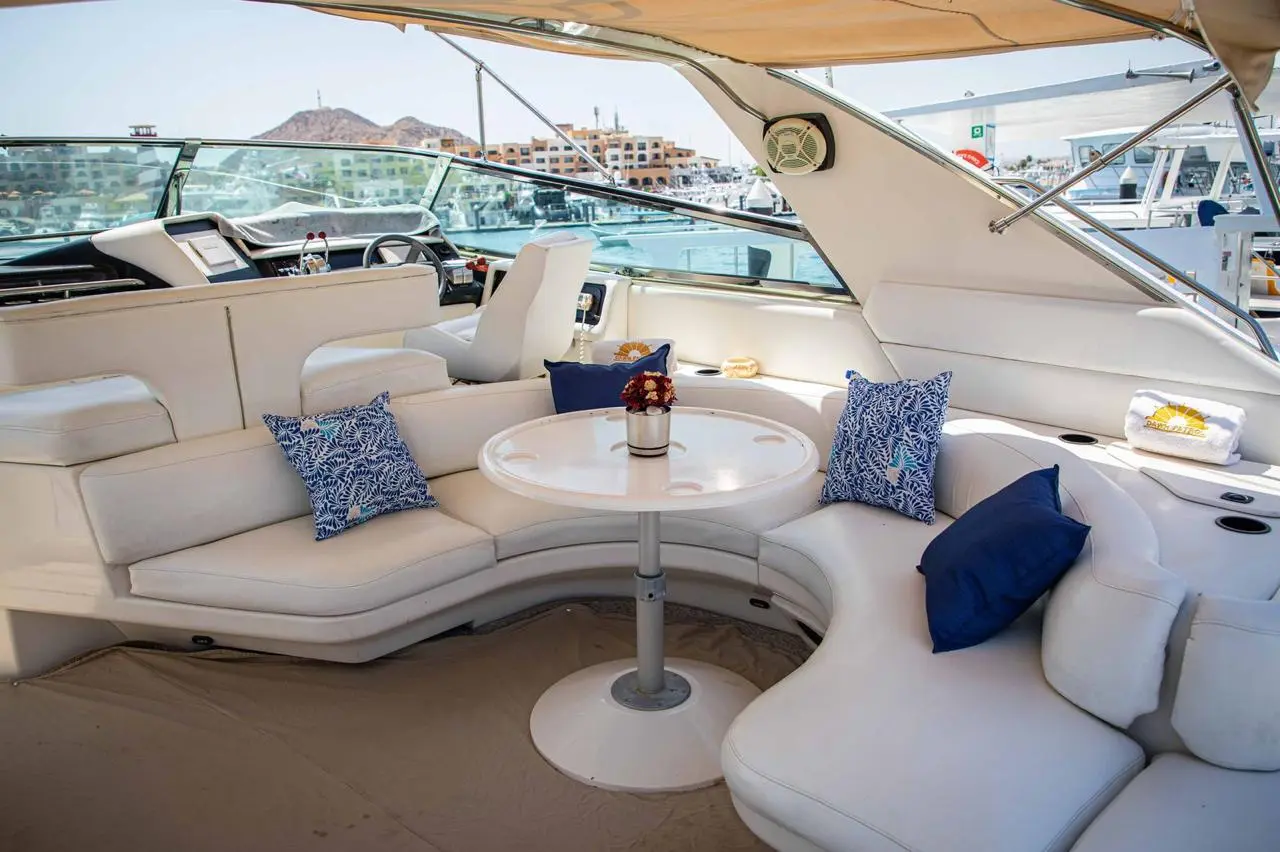 WhatsApp-Image-2026-02-03-at-9.32.31-AM-_1_