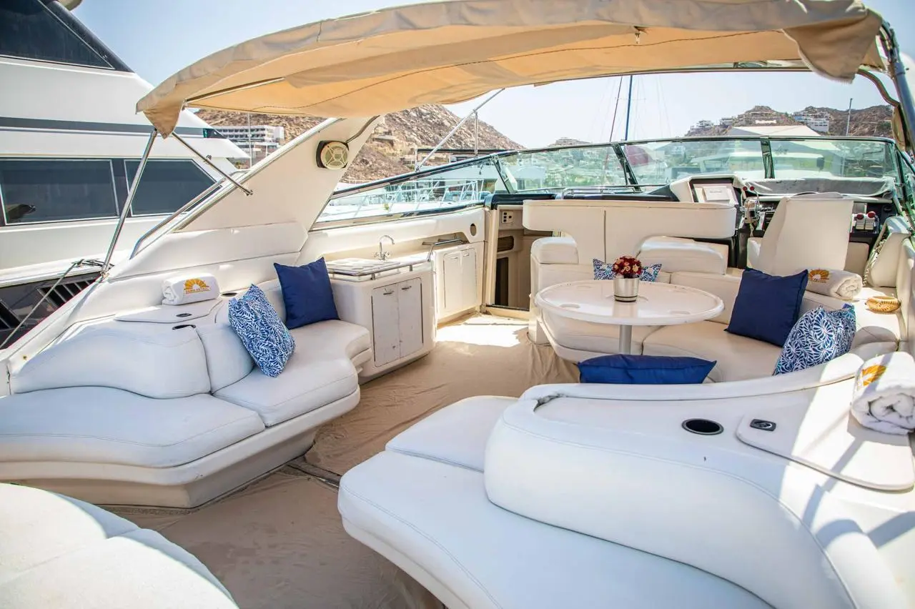 WhatsApp-Image-2026-02-03-at-9.32.31-AM-_3_