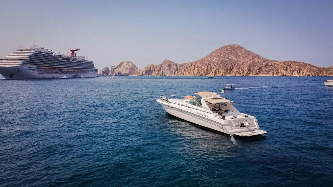 WhatsApp-Image-2026-02-03-at-9.32.32-AM-_3_