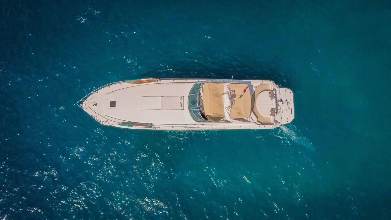 WhatsApp-Image-2026-02-03-at-9.32.32-AM-_4_