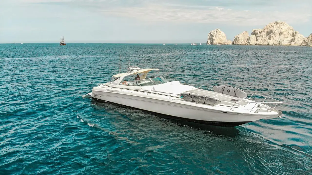 WhatsApp-Image-2026-02-03-at-9.32.32-AM