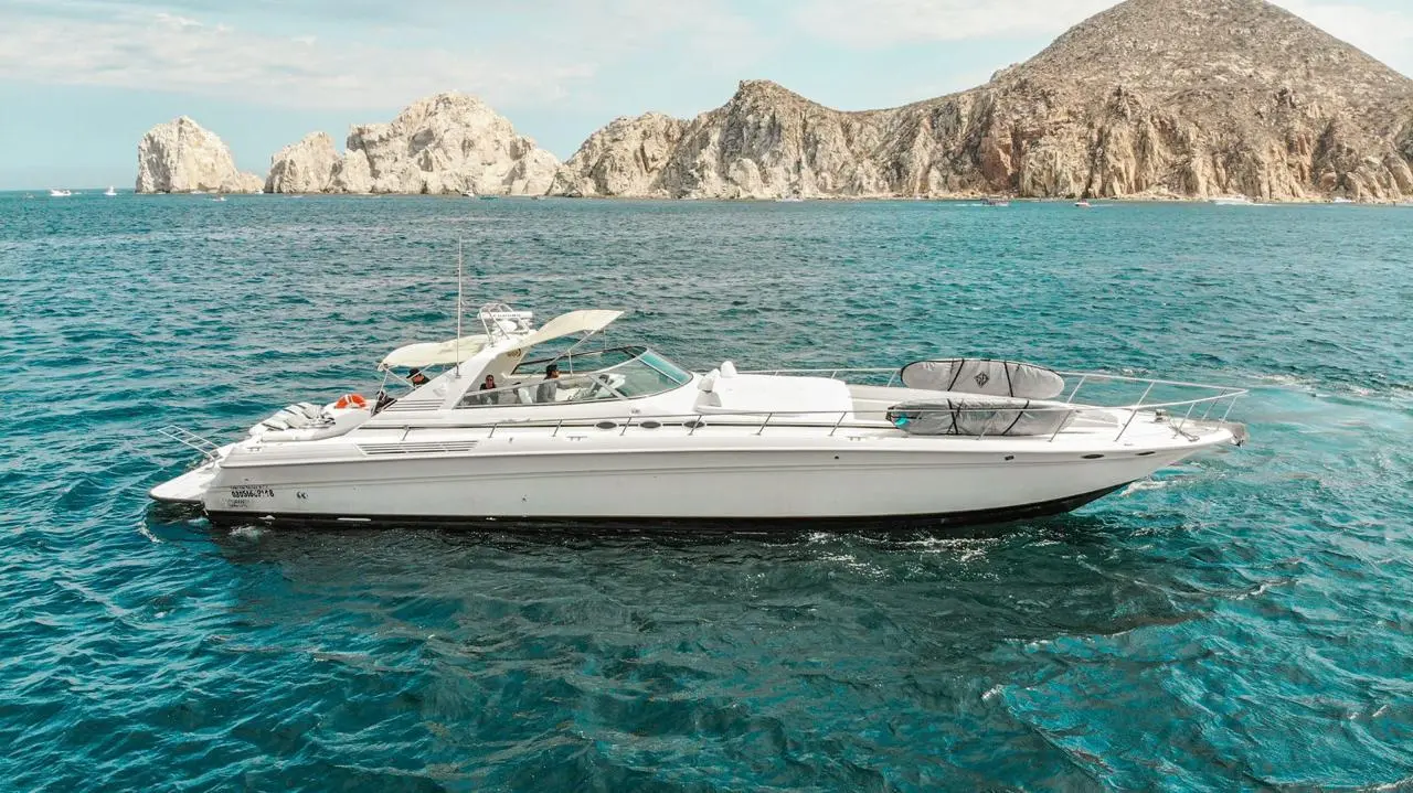 WhatsApp-Image-2026-02-03-at-9.32.33-AM-_2_