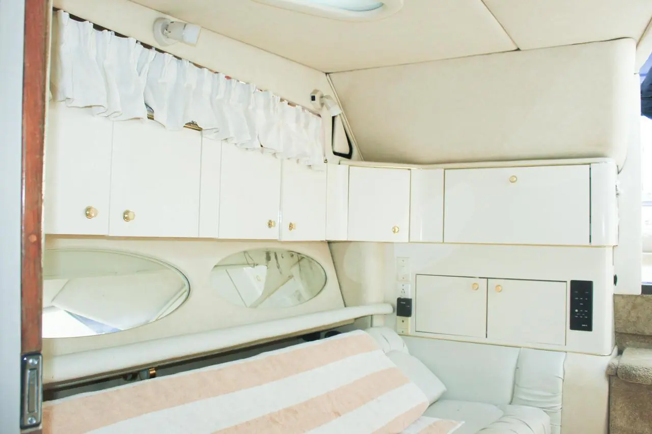 WhatsApp-Image-2026-02-03-at-9.42.57-AM-_1_