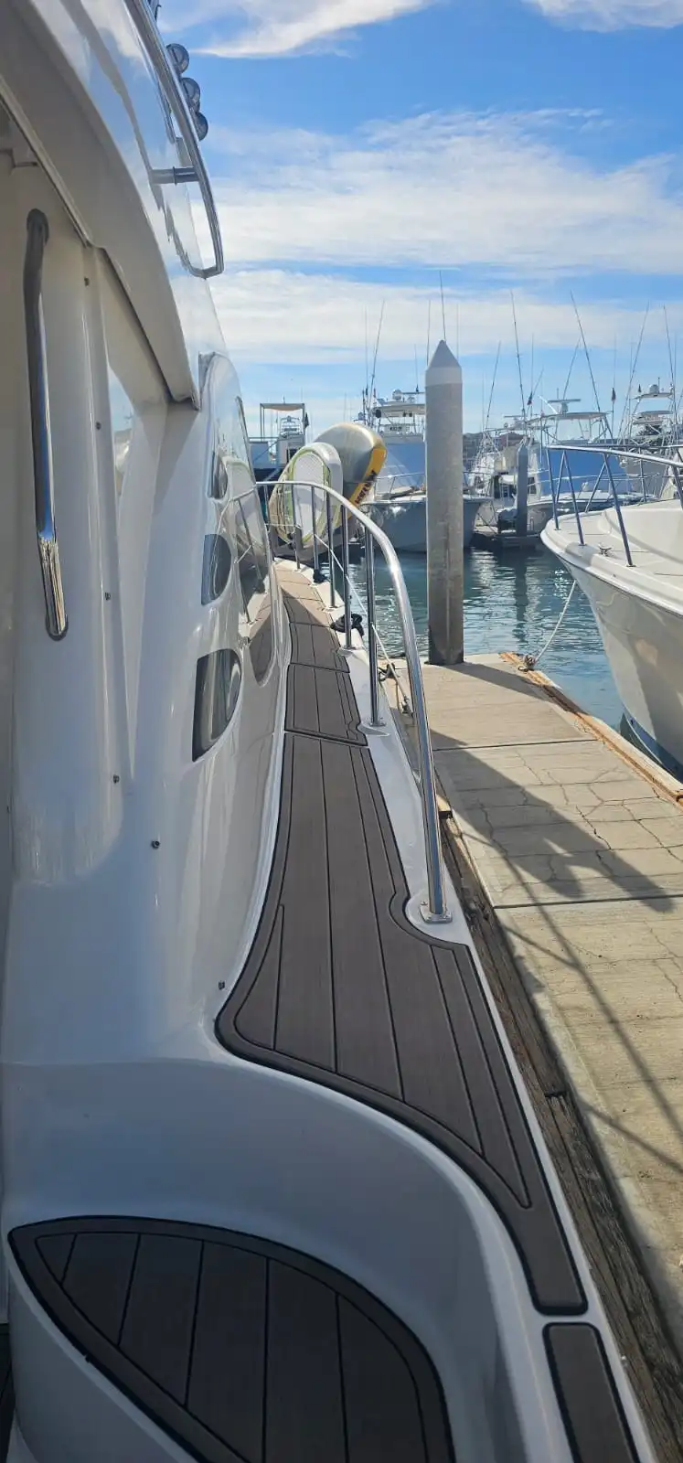 WhatsApp-Image-2026-02-09-at-11.49.08-AM-_2_