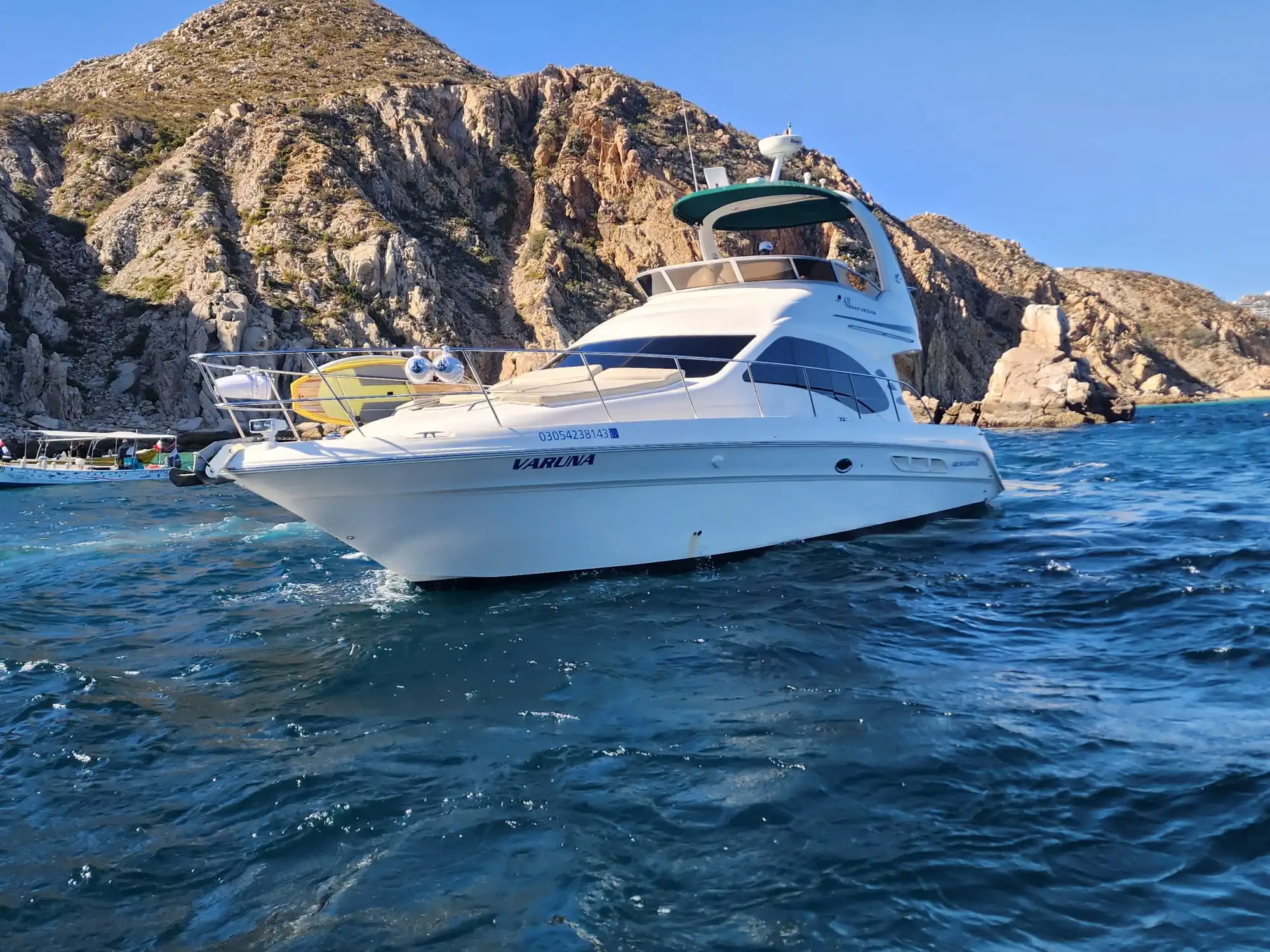 WhatsApp-Image-2026-02-09-at-11.49.08-AM