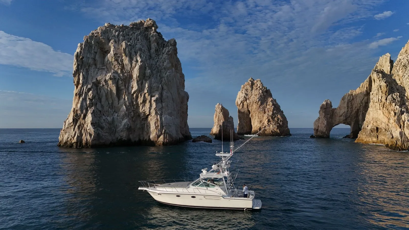 WhatsApp-Image-2026-02-09-at-3.54.21-PM