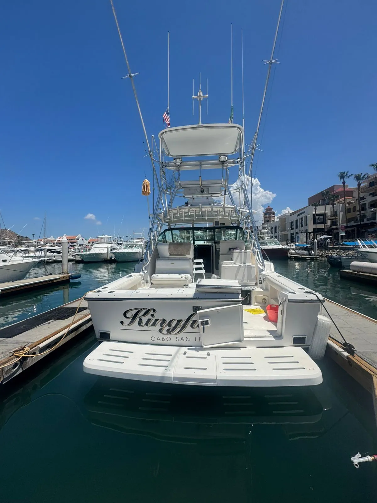 WhatsApp-Image-2026-02-09-at-3.54.22-PM