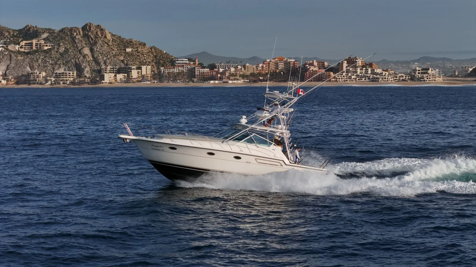 WhatsApp-Image-2026-02-09-at-3.54.24-PM