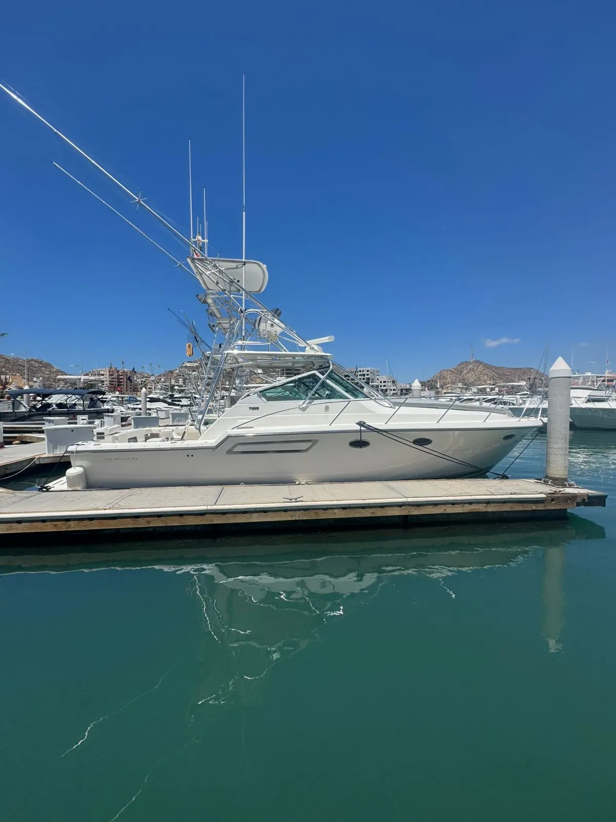 WhatsApp-Image-2026-02-09-at-3.54.26-PM