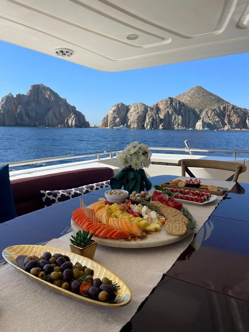 WhatsApp-Image-2026-02-10-at-11.05.43-AM-_2_