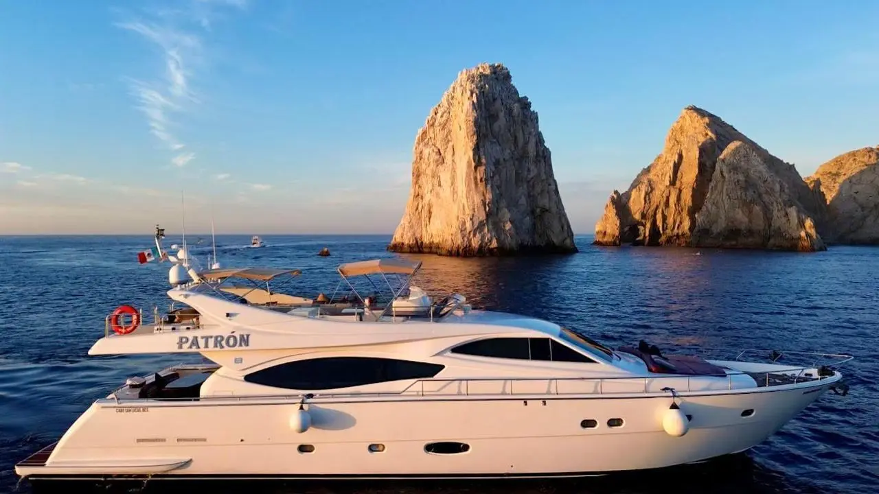 WhatsApp-Image-2026-02-10-at-11.05.43-AM-_4_