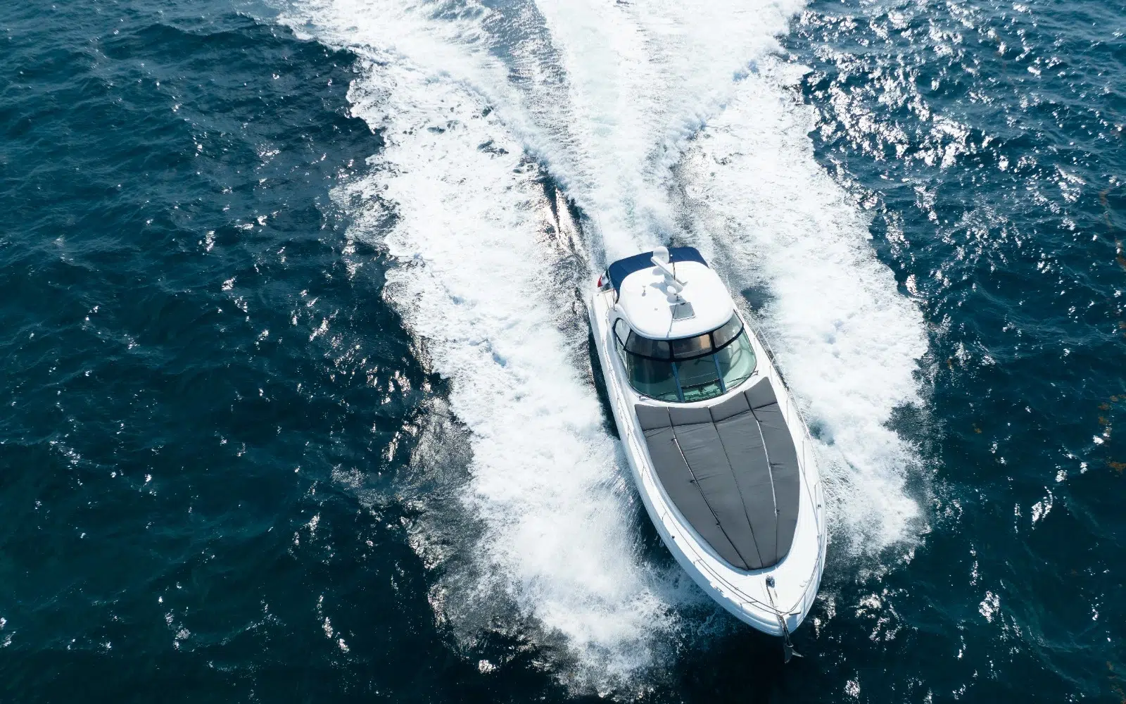 WhatsApp-Image-2026-02-10-at-2.32.46-PM-_3_