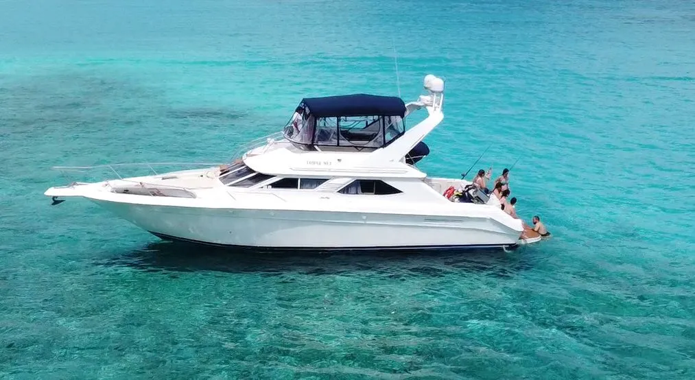 WhatsApp-Image-2026-02-10-at-2.56.33-PM