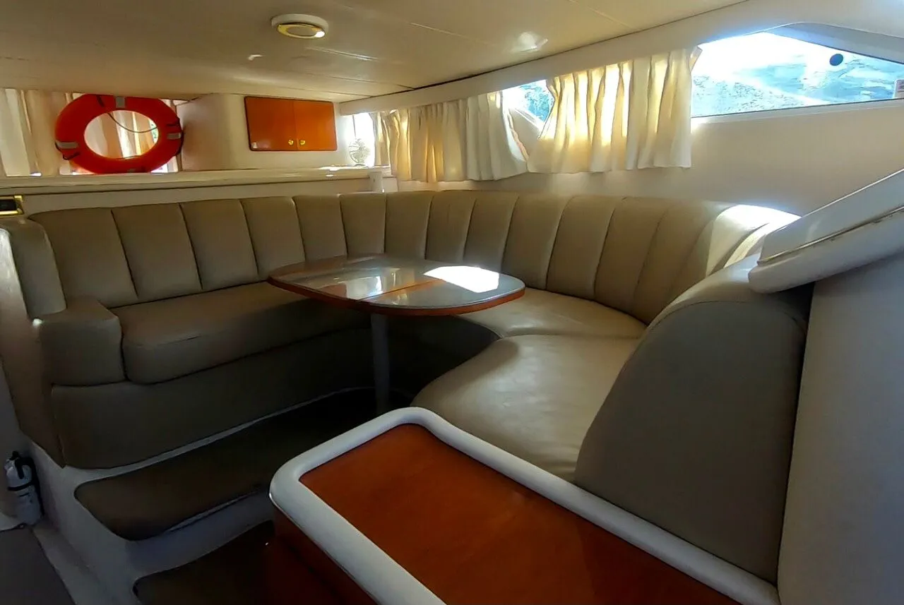 WhatsApp-Image-2026-02-10-at-2.56.34-PM-_3_