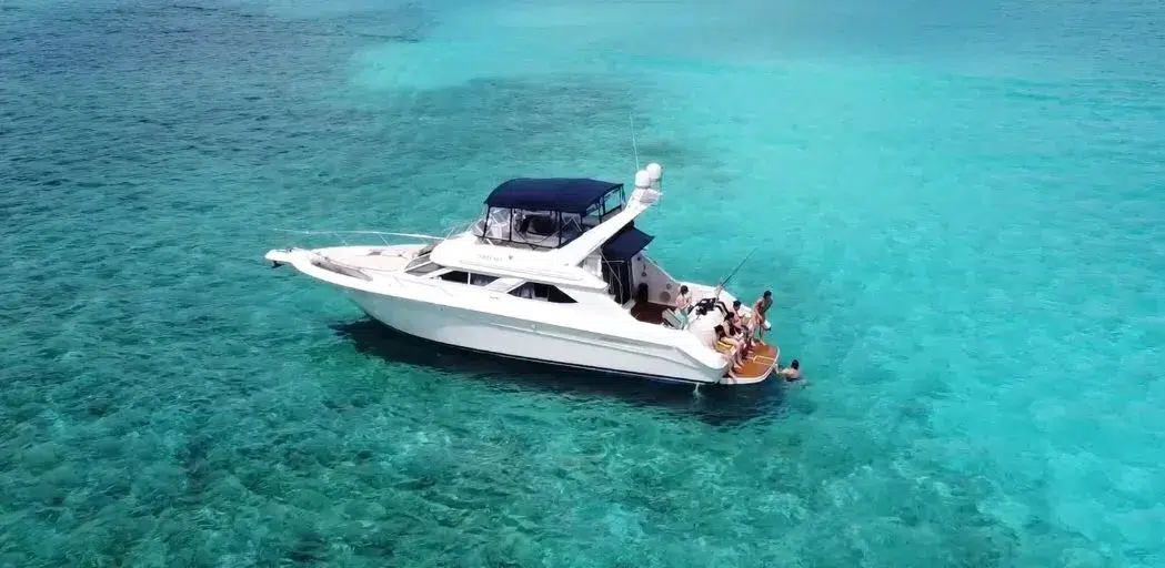 WhatsApp-Image-2026-02-10-at-2.56.35-PM-_1_