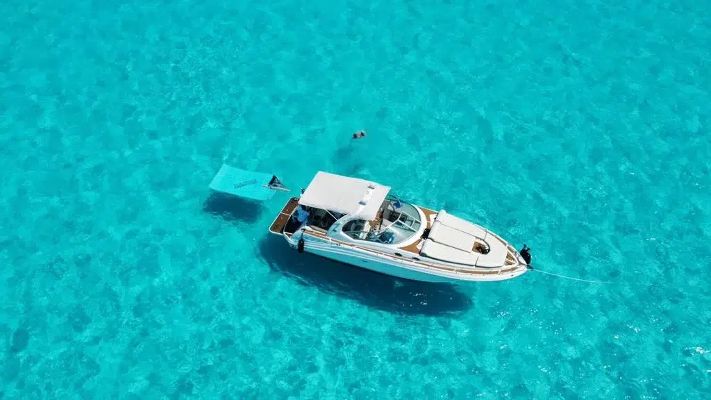 WhatsApp Image 2026-03-01 at 1.46.00 PM (2)