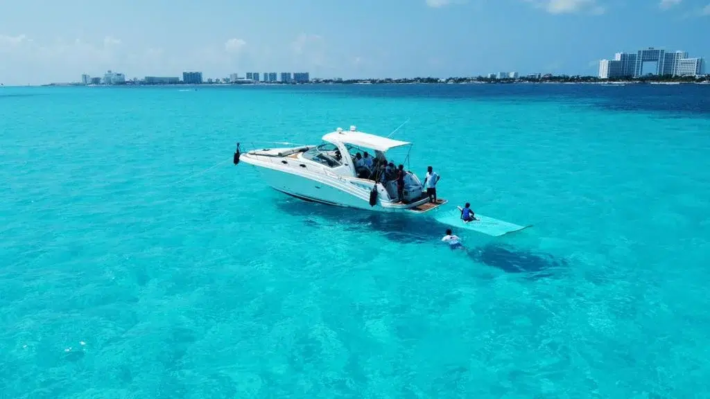 WhatsApp Image 2026-03-01 at 1.46.00 PM