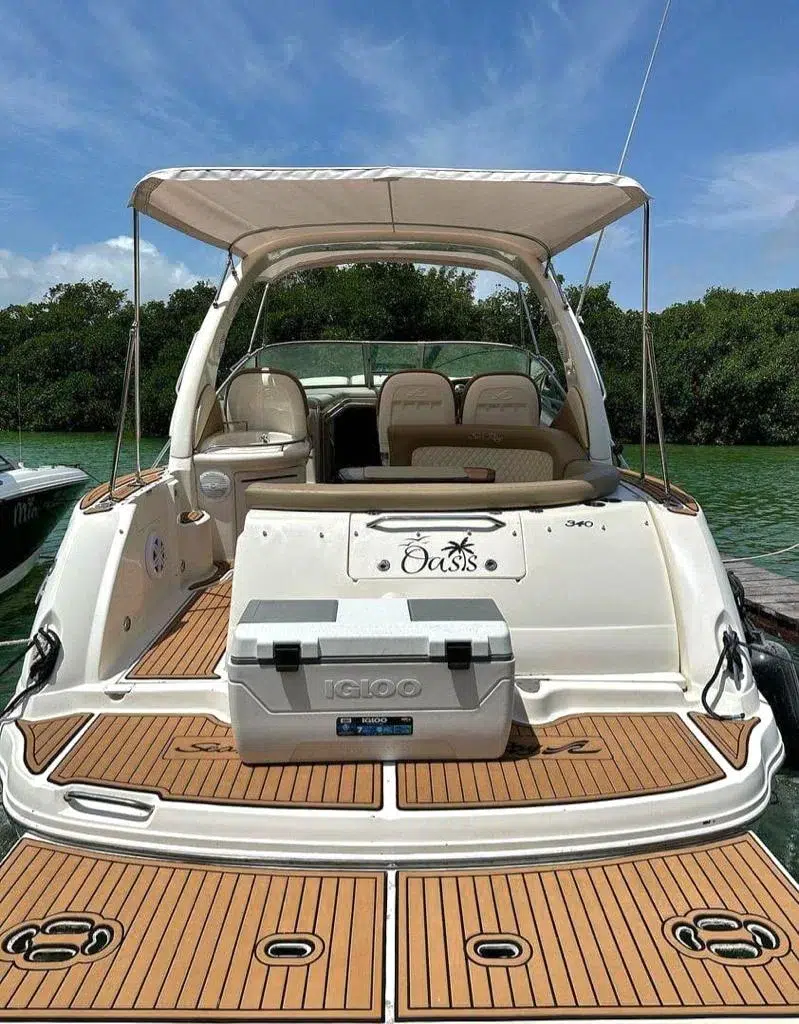 WhatsApp Image 2026-03-01 at 1.46.02 PM (1)