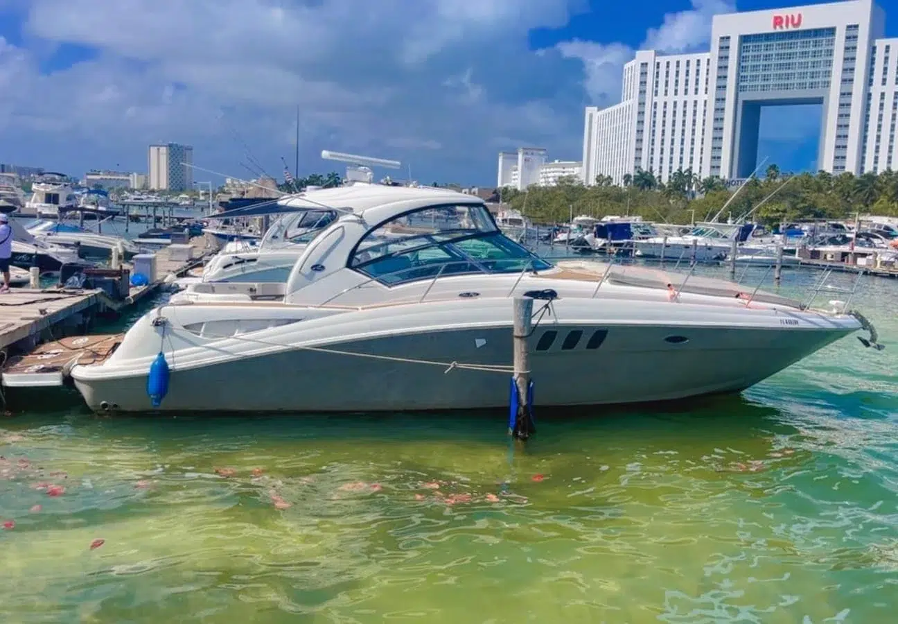 WhatsApp Image 2026-03-01 at 11.32.21 AM