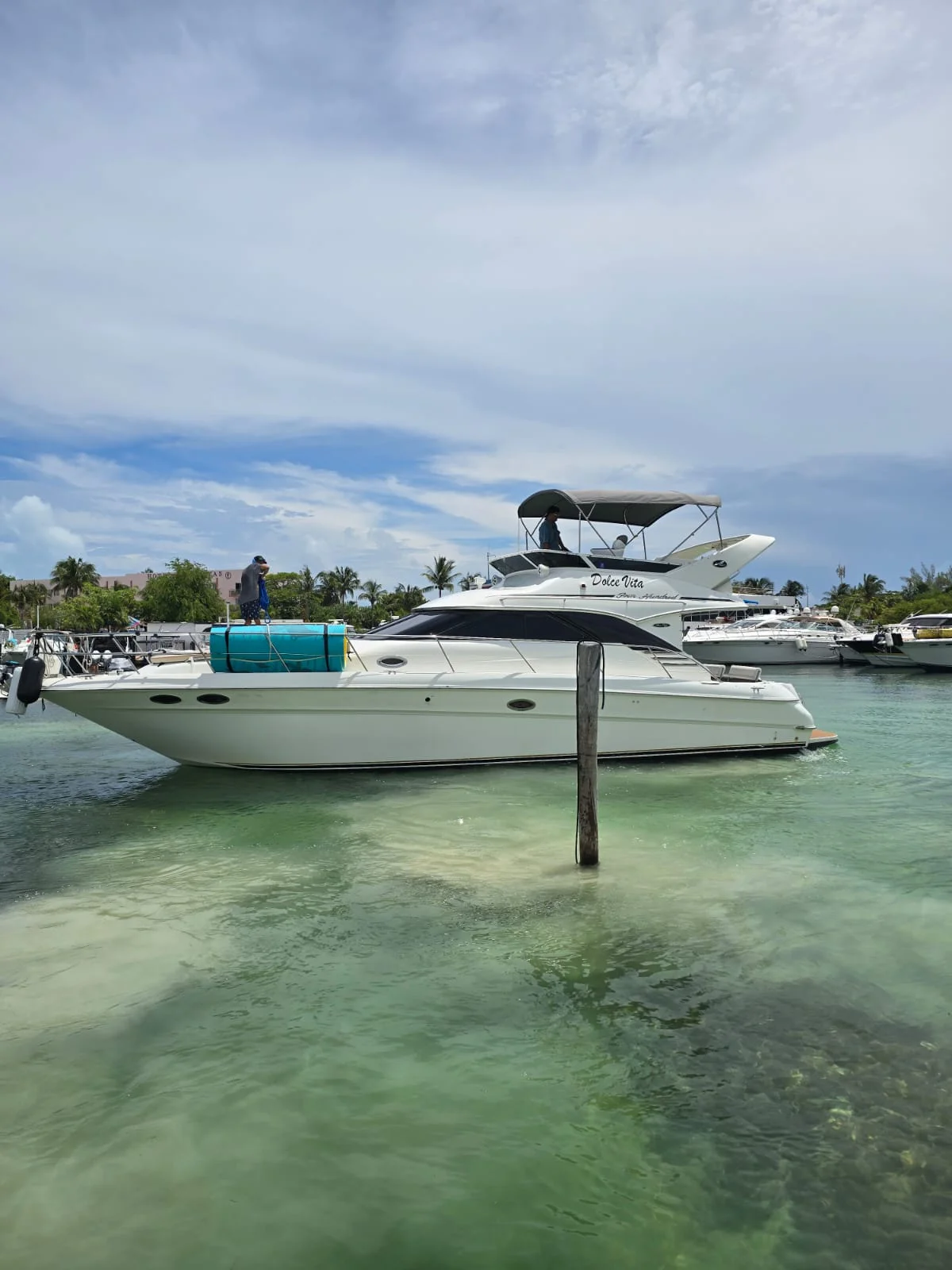 WhatsApp Image 2026-03-01 at 11.46.50 AM (2)