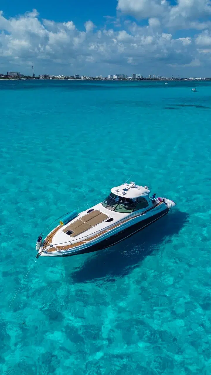 WhatsApp Image 2026-03-01 at 12.09.00 PM (2)