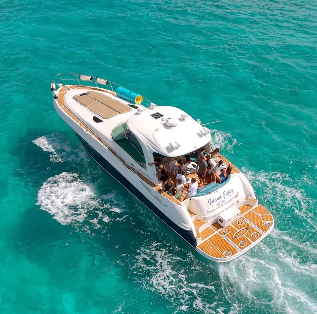 WhatsApp Image 2026-03-01 at 12.09.00 PM (4)