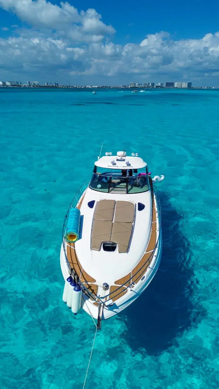 WhatsApp Image 2026-03-01 at 12.09.01 PM (5)