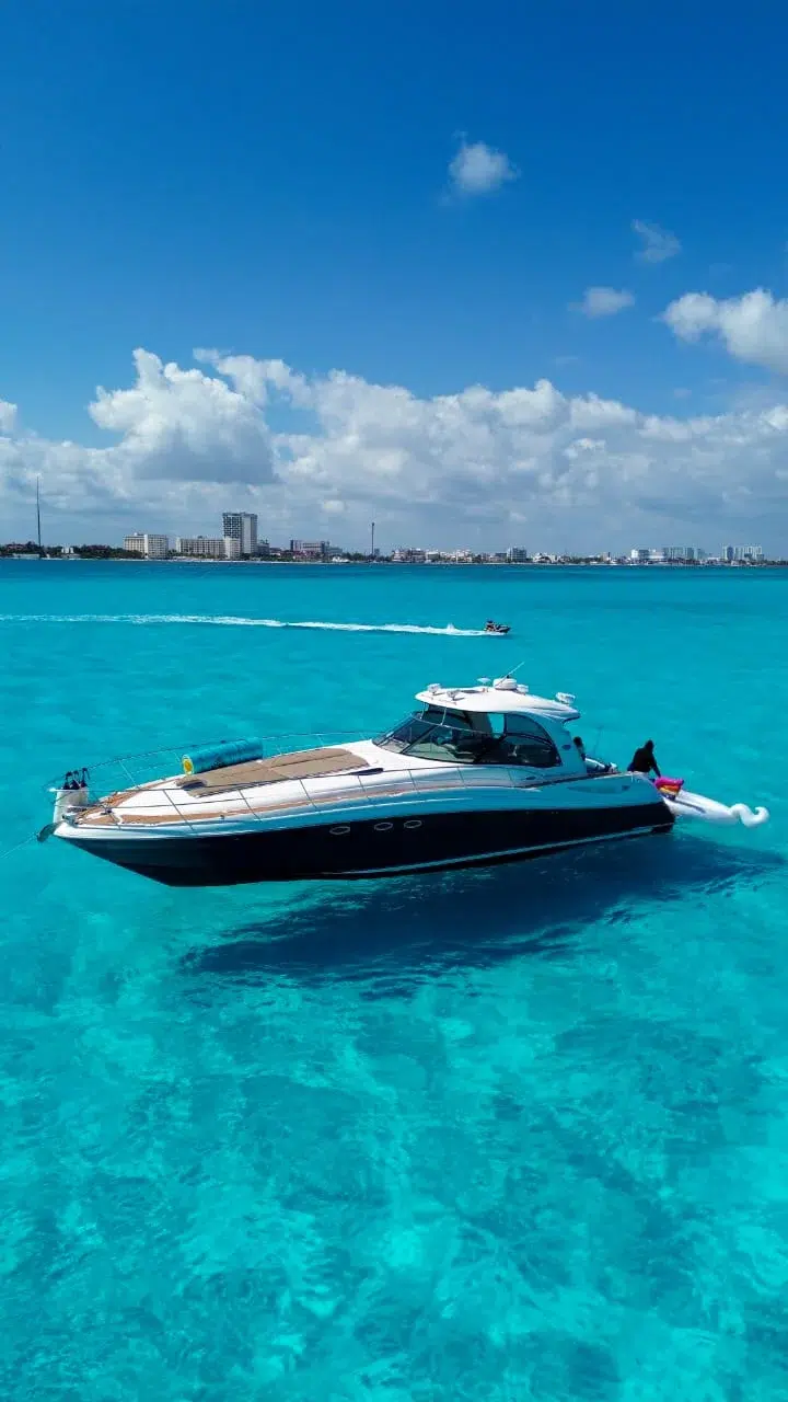 WhatsApp Image 2026-03-01 at 12.09.02 PM (1)