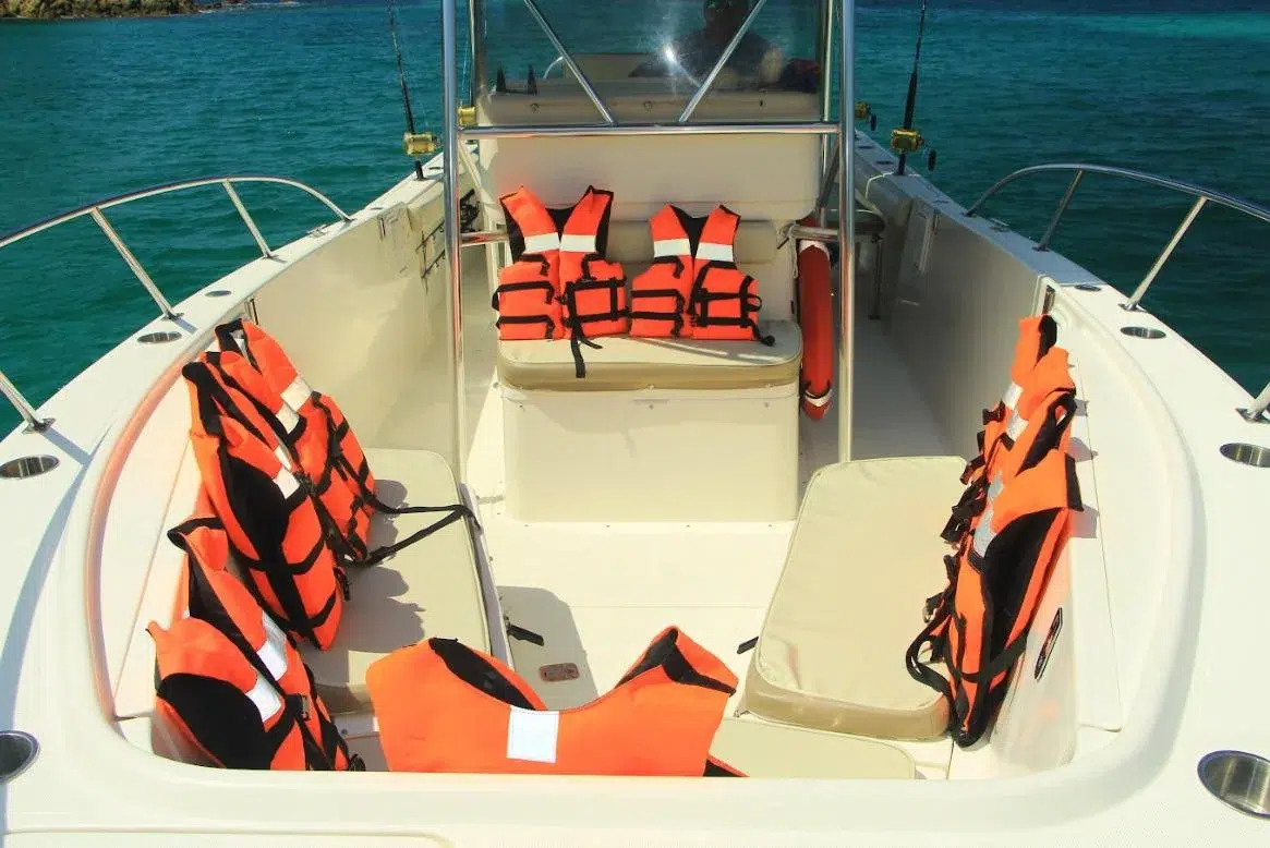 WhatsApp Image 2026-03-03 at 9.36.08 AM