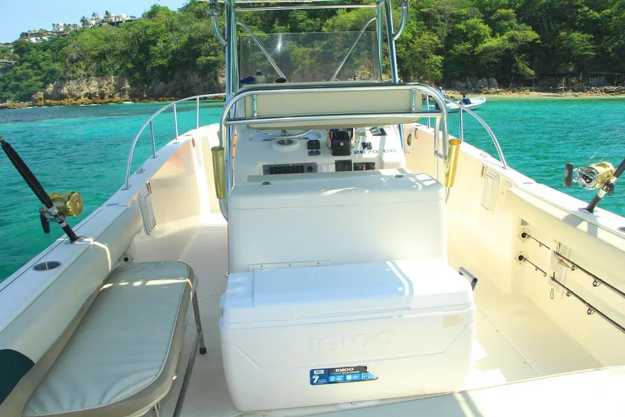 WhatsApp Image 2026-03-03 at 9.36.51 AM