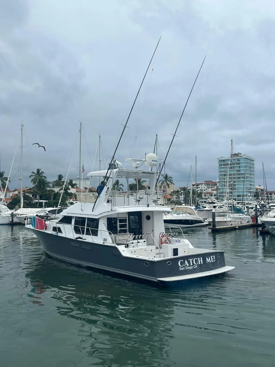 WhatsApp Image 2026-05-19 at 2.08.26 PM pesca en puerto vallarta -12
