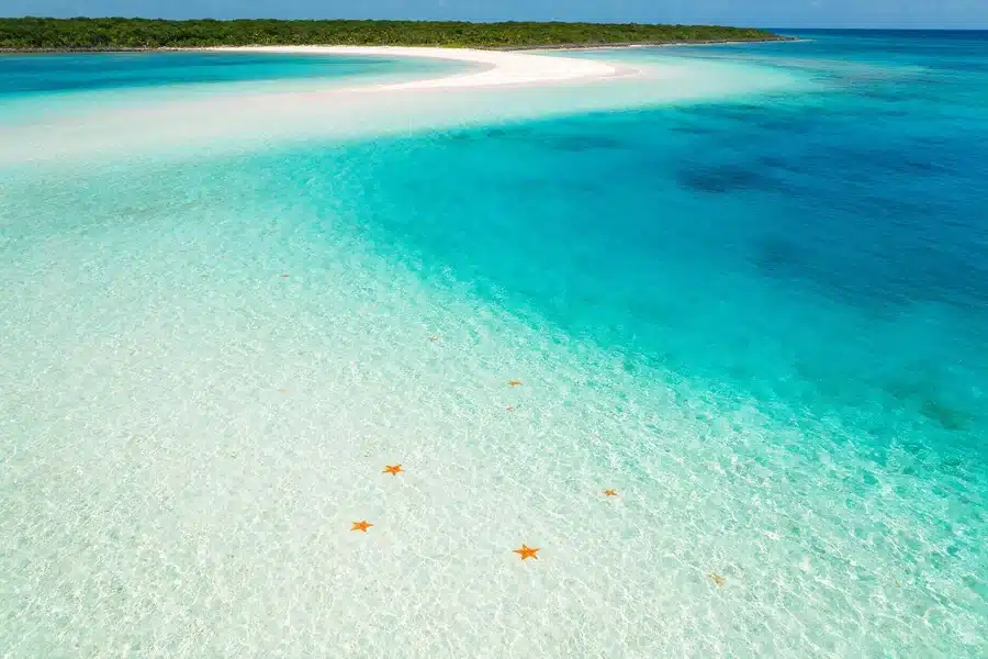 El Cielo, Cozumel: banco de arena con agua cristalina y estrellas de mar