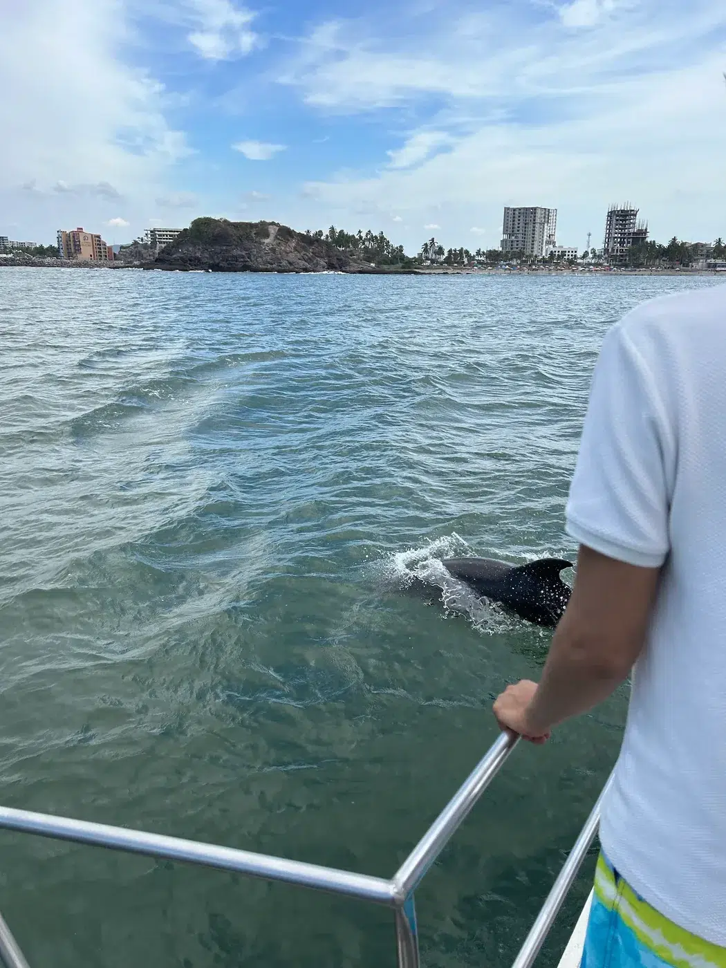 Un invitado asomado a la borda mientras un delfín nada junto al barco